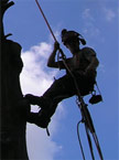 With the majority of the tree top removed, the climber ascends to get the last few branches