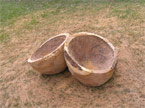 The final woughed out carving of the acorn cups, just before the detailling is carved into the pieces