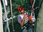 Man suspended many feet above the floor on a complex series of ropes, with a freshly installed brace keeping two trees equidista