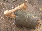Axe seemingly stuck in a log from the side