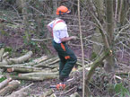 The workman moving a freshly chopped branch into a tidy pile