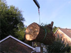 A massive segment of tree hanging from the hiab is lowered onto the back of the lorry