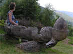 A lady sat on top of the bench, peering into the distance and down into the forest below