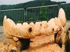 A large acorn bench, which has an acorn at one end and a bench carved into it, which is detailled like an oak leaf, in this phot