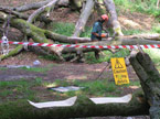 From behind the safety barrier, the artist can be seen using the chainsaw to form the desired carving
