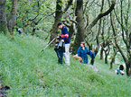 A group of students cleaning up the hillside at Cefn Coed Rhychdir