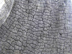 Photograph of a burnt section of timber