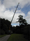 The crane jib spikes around 30 metres into the sky, ready to take the strain