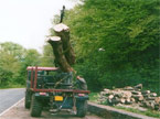 Large AC Matador vehicle picking up two huge tree stems using the attached crane