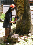 Some fungus and a Woodlouse being carved into a hole in the back of the tree
