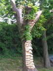 The finished piece basking in the sun
