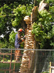 The intricate detail being worked into the front face of the carving