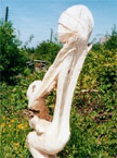 Finished Mother and Baby carving basking in the sun, with a stunning blue sky background, surrounded by lush green foiliage