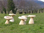 Five mushrooms laid out to mimic the Rockingstone arrangement which is in the backgrounf of the photograph