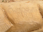 A side view of the pigs tummy, with Cwmdows farm carved into it
