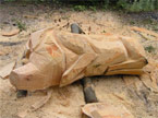 The finished roughed out pig, with all nooks and crannies in tact, ready for finishing