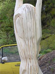 A tall thin lady stands with her hands upright, hair covering her breasts, protruding from a log, there is a yellow vw caddy in 