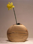 Vase with a Yellow Daffodil, photo taken from the front