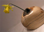 Vase with horizontal cracks filled with blue substance, with a single Yellow Daffodil inside, photo taken from the top
