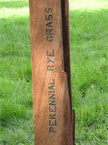 Photo five in the Waymarkers section Showing the text Perennial Rye Grass in the side of one of the posts