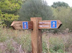 A large traditional waymarker, carved into wood